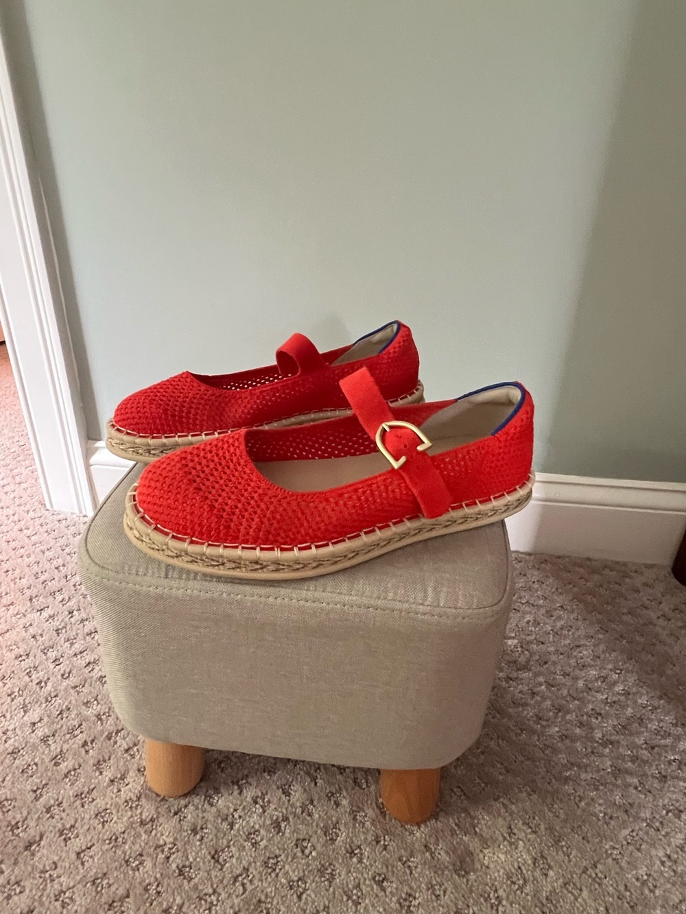 Rothys mary Janes